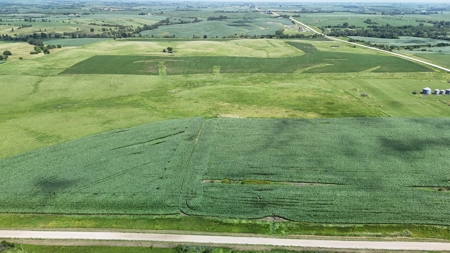 Tract 2 Cooper Family Farm Taylor County Iowa i-Auction - image 3