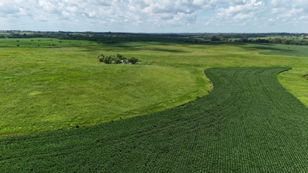 Tract 4 Cooper Family Farm Taylor County Iowa i-Auction - image 20