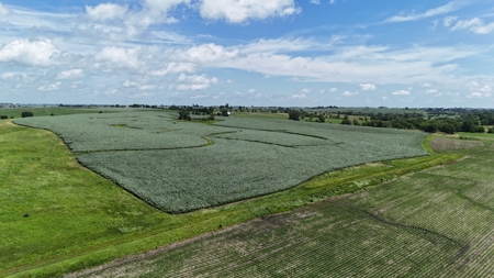 Tract 4 Cooper Family Farm Taylor County Iowa i-Auction - image 12