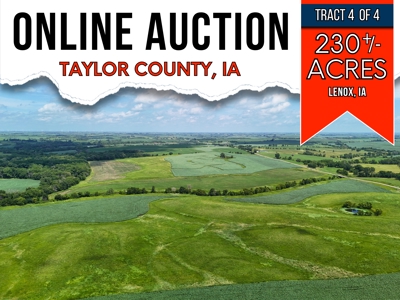 Tract 4 Cooper Family Farm Taylor County Iowa i-Auction - image 1