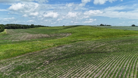 Tract 4 Cooper Family Farm Taylor County Iowa i-Auction - image 15