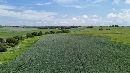 Tract 4 Cooper Family Farm Taylor County Iowa i-Auction - image 18
