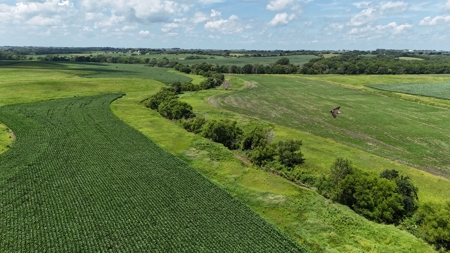 Tract 4 Cooper Family Farm Taylor County Iowa i-Auction - image 21