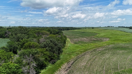 Tract 4 Cooper Family Farm Taylor County Iowa i-Auction - image 16