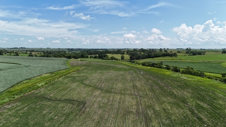 Tract 4 Cooper Family Farm Taylor County Iowa i-Auction - image 13