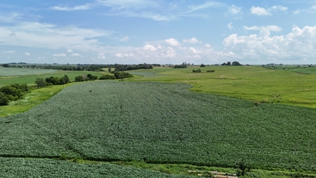 Tract 4 Cooper Family Farm Taylor County Iowa i-Auction - image 19