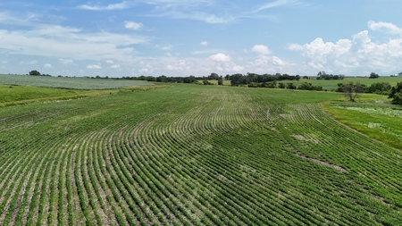 Tract 4 Cooper Family Farm Taylor County Iowa i-Auction - image 14