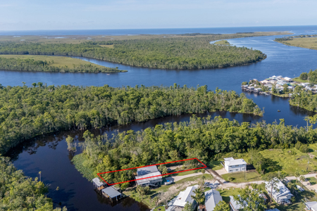 Waterfront Home For Sale in Suwannee, FL - image 43