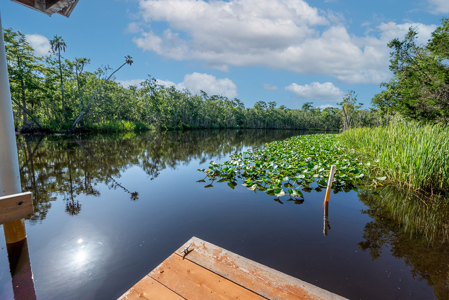 Waterfront Home For Sale in Suwannee, FL - image 11