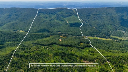 Laurel Fork Farm: Hunt, Ride & Relax in Mountain Solitude - image 45