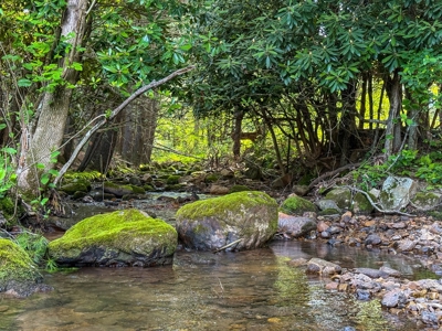 Laurel Fork Farm: Hunt, Ride & Relax in Mountain Solitude - image 41