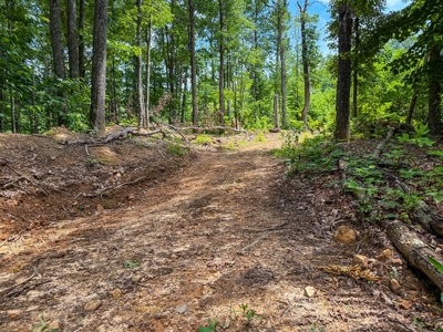 Laurel Fork Farm: Hunt, Ride & Relax in Mountain Solitude - image 6