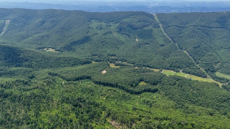 Laurel Fork Farm: Hunt, Ride & Relax in Mountain Solitude - image 47