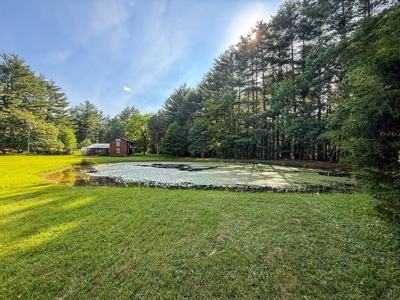 Laurel Fork Farm: Hunt, Ride & Relax in Mountain Solitude - image 39