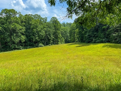 Laurel Fork Farm: Hunt, Ride & Relax in Mountain Solitude - image 7