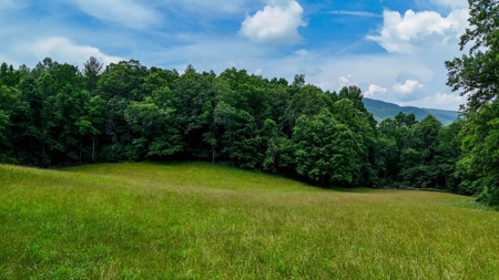 Laurel Fork Farm: Hunt, Ride & Relax in Mountain Solitude - image 50