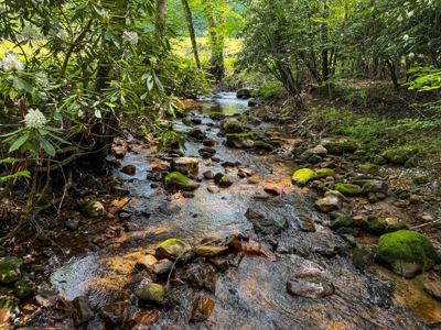 Laurel Fork Farm: Hunt, Ride & Relax in Mountain Solitude - image 1