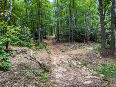 Laurel Fork Farm: Hunt, Ride & Relax in Mountain Solitude - image 3