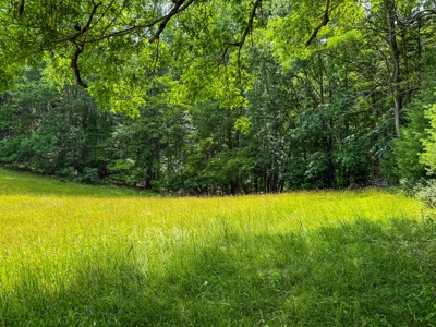 Laurel Fork Farm: Hunt, Ride & Relax in Mountain Solitude - image 8