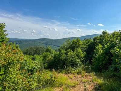Laurel Fork Farm: Hunt, Ride & Relax in Mountain Solitude - image 35