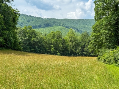 Laurel Fork Farm: Hunt, Ride & Relax in Mountain Solitude - image 28