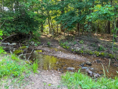 Laurel Fork Farm: Hunt, Ride & Relax in Mountain Solitude - image 40