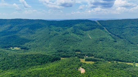 Laurel Fork Farm: Hunt, Ride & Relax in Mountain Solitude - image 46