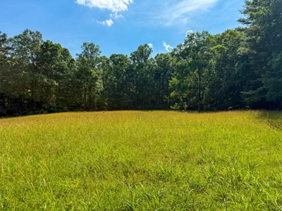 Laurel Fork Farm: Hunt, Ride & Relax in Mountain Solitude - image 34