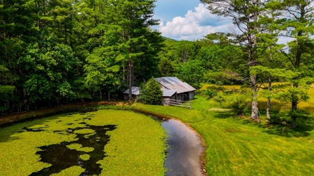 Laurel Fork Farm: Hunt, Ride & Relax in Mountain Solitude - image 49