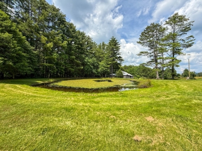 Laurel Fork Farm: Hunt, Ride & Relax in Mountain Solitude - image 9