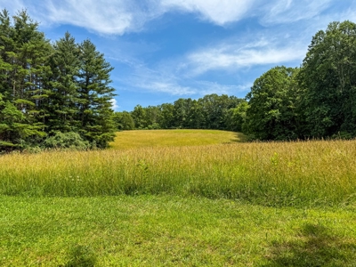 Laurel Fork Farm: Hunt, Ride & Relax in Mountain Solitude - image 26