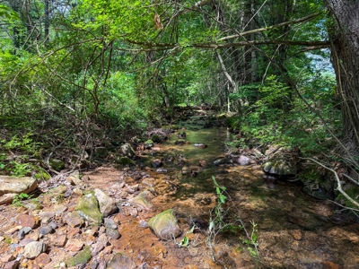 Laurel Fork Farm: Hunt, Ride & Relax in Mountain Solitude - image 24