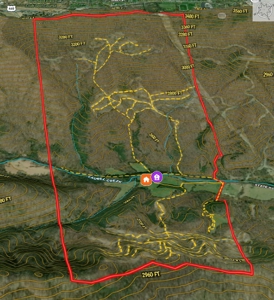 Laurel Fork Farm: Hunt, Ride & Relax in Mountain Solitude - image 43
