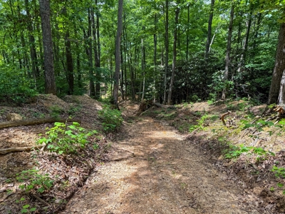 Laurel Fork Farm: Hunt, Ride & Relax in Mountain Solitude - image 5
