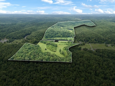Country Home for Sale in Hickman County, Tennessee - image 50