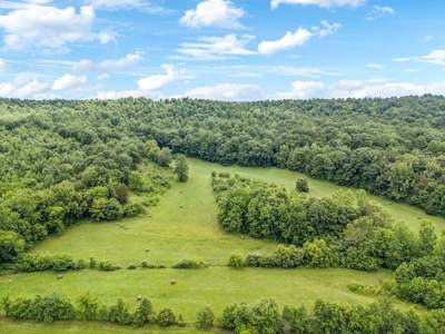 Country Home for Sale in Hickman County, Tennessee - image 40