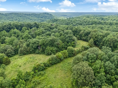 Country Home for Sale in Hickman County, Tennessee - image 48