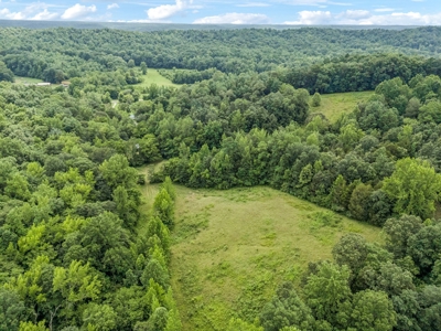 Country Home for Sale in Hickman County, Tennessee - image 47
