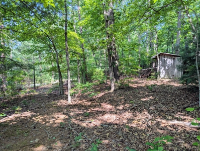 Ranch Style Home with Full Basement For Sale in Patrick County VA - image 17