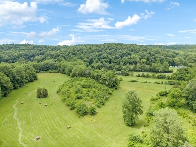 Land for Sale in Hickman County, Tennessee - image 3