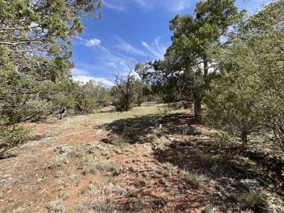 Land for sale near National Forest in Arizona - image 2