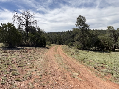 Land for sale near National Forest in Arizona - image 6