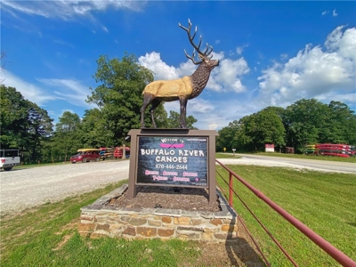 Buffalo River Canoe Business National Park Service For Sale - image 1