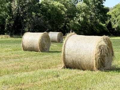 St. Clair County MO Recreational Land for Sale, 108 Acres - image 42