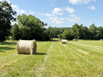 St. Clair County MO Recreational Land for Sale, 108 Acres - image 40