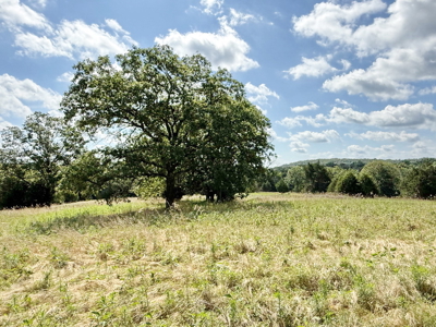 St. Clair County MO Recreational Land for Sale, 108 Acres - image 45
