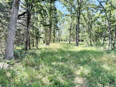 St. Clair County MO Recreational Land for Sale, 108 Acres - image 29