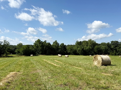 St. Clair County MO Recreational Land for Sale, 108 Acres - image 41