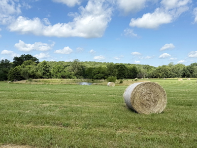 St. Clair County MO Recreational Land for Sale, 108 Acres - image 11