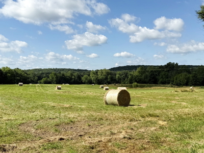 St. Clair County MO Recreational Land for Sale, 108 Acres - image 4